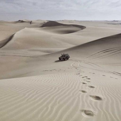 Liburan Keluarga yang Seru dan Edukatif